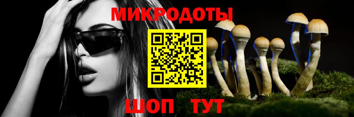 Владивосток  Псилоцибиновые грибы Magic Shrooms  где купить наркоту  Вход с VPN  Псилоцибиновые грибы прущие грибы 